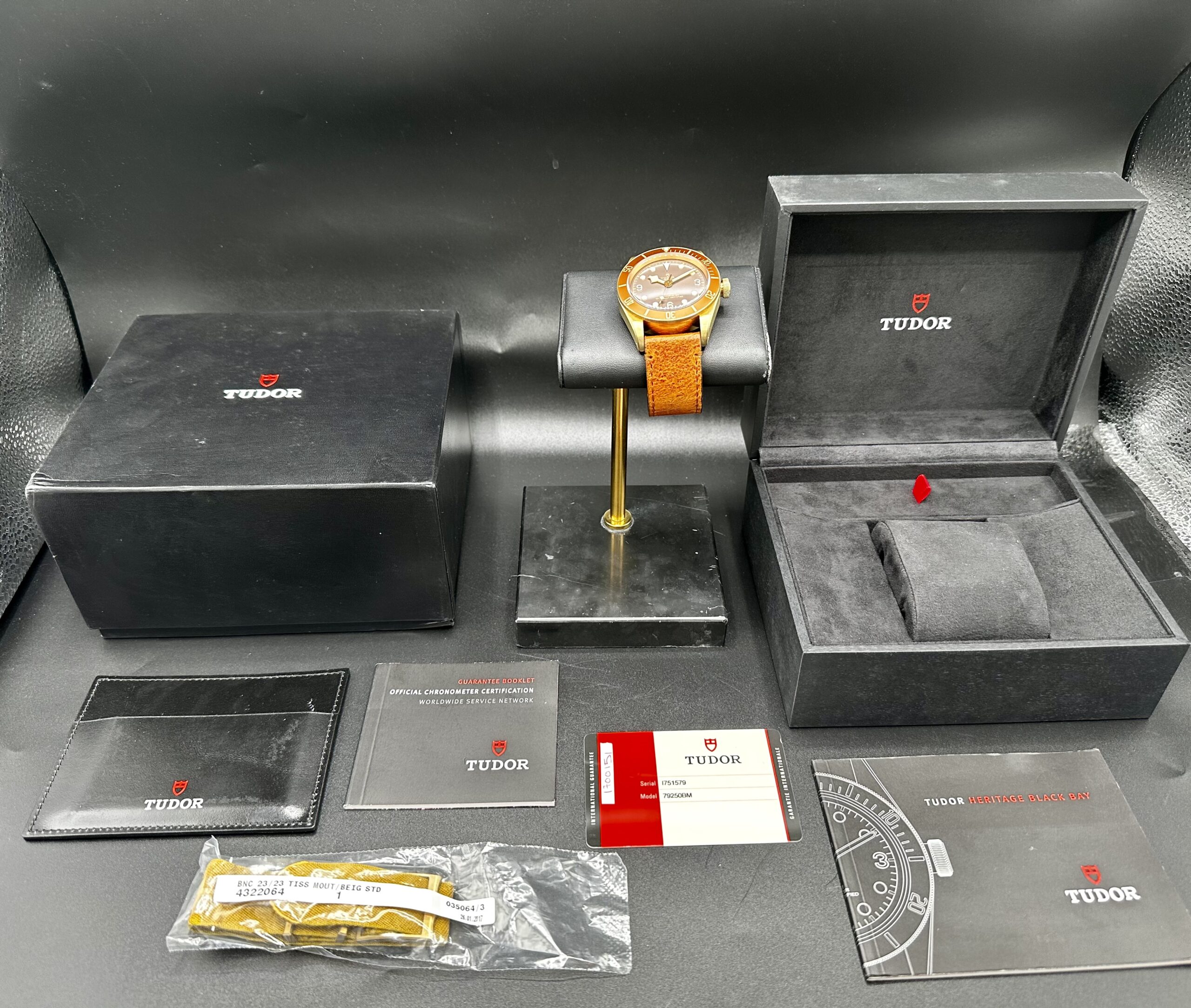 TUDOR BLACK BAY BRONZE 79250BM Brown Dial 43mm BRONZO SWISS